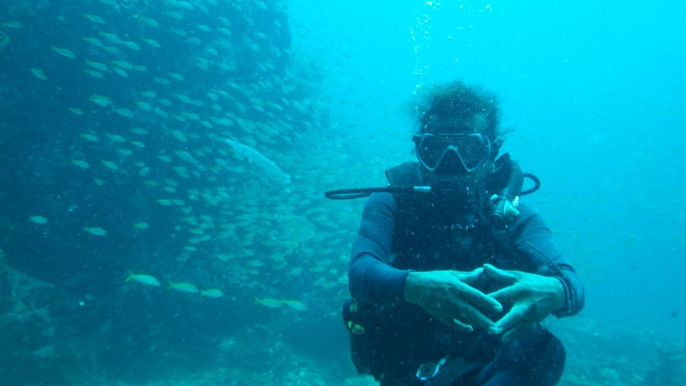 Scuba diver with a school of fish