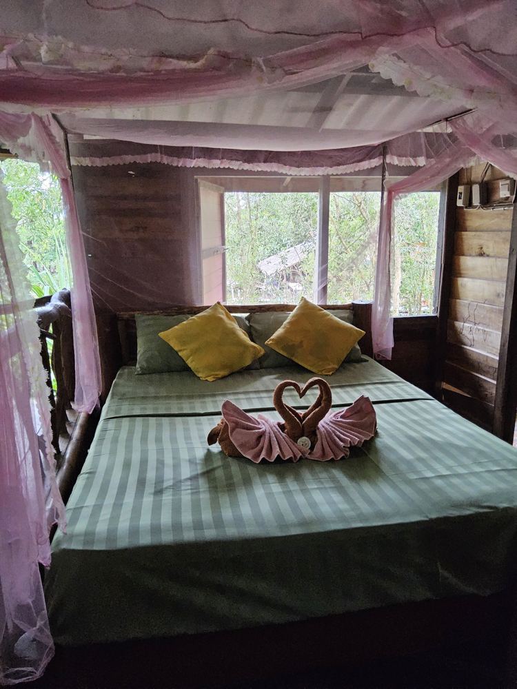 Canopy bed under pink mosquito netting