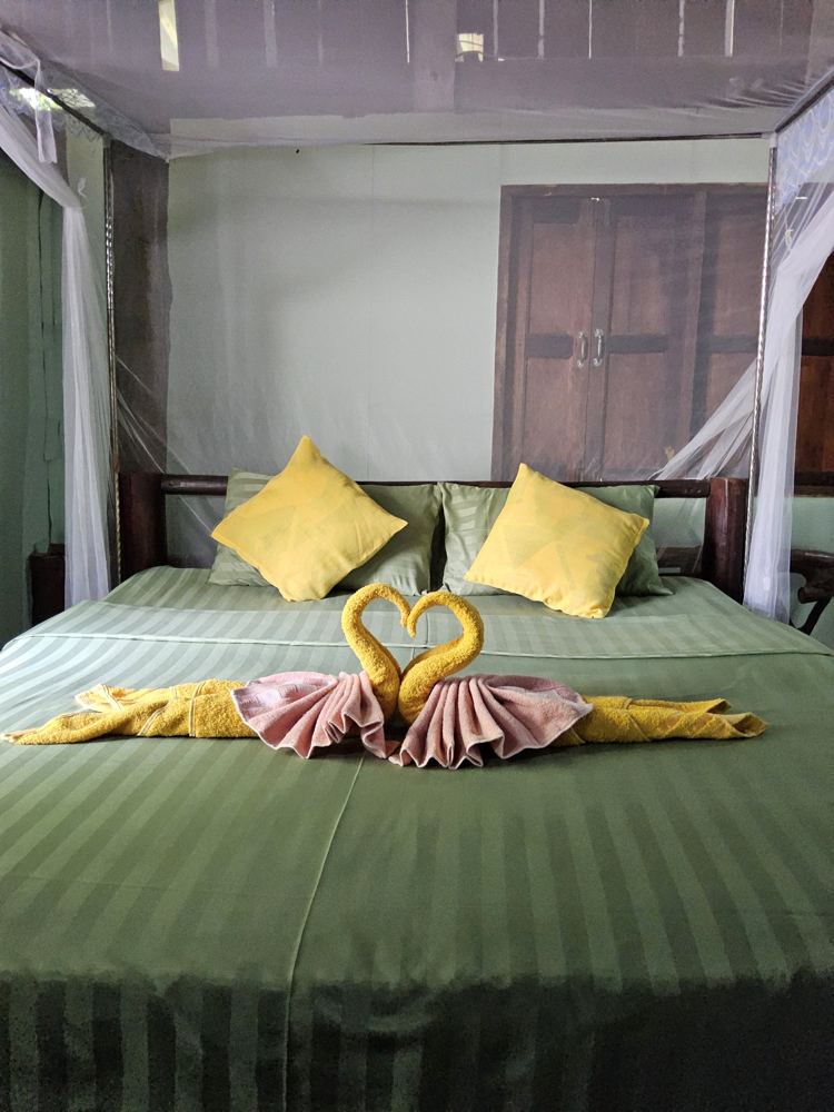 Double bed with white mosquito net